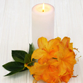 Candle for notice Jonathan EARP