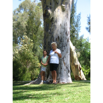 Notice Gallery for Margaret Ann MURRAY