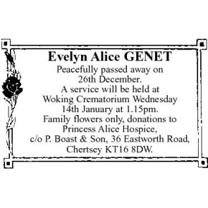 Photo of ALICE Evelyn