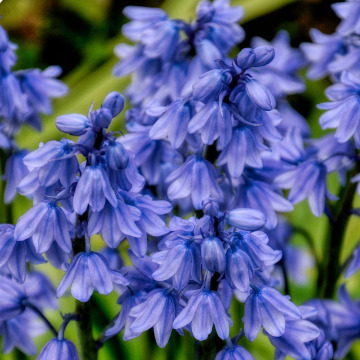 Notice Gallery for BRENDA MOORE