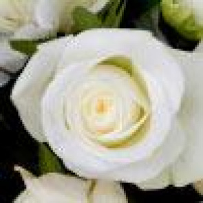 Photo of ROBERT MCGREGOR