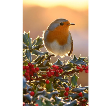 Notice Gallery for DORIS PLANT