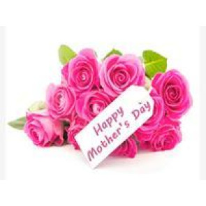 Photo of DIANE WEBBER