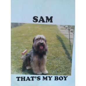 Notice Gallery for ANN THORPE