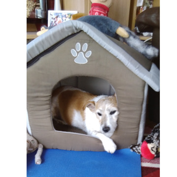 Notice Gallery for Margaret HARRISON