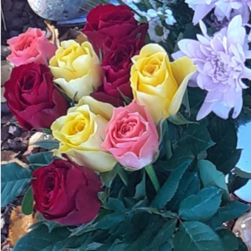 Notice Gallery for Denise Avril SWEET