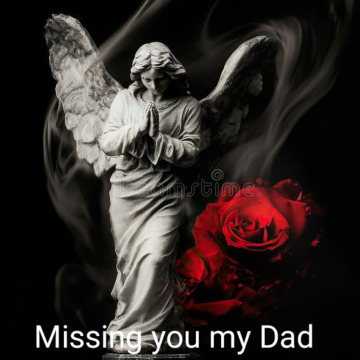 Notice Gallery for Jo JOLAN MALHAS