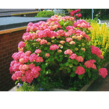 Notice Gallery for Robert PROSSER