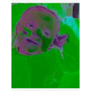 Photo of Devon STEEL