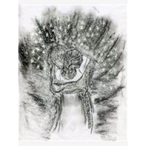 Photo of Aaron STEVENS