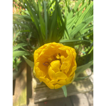 Notice Gallery for Rita STEWART