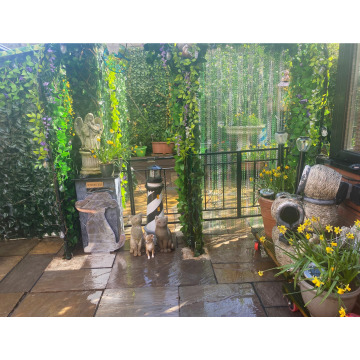 Notice Gallery for Rita STEWART