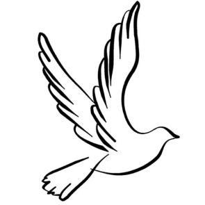 Photo of David HOPKINSON