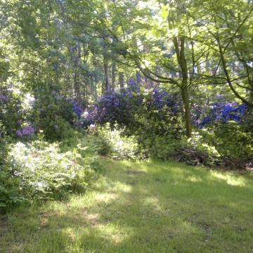 Photo of Wendy WILSON