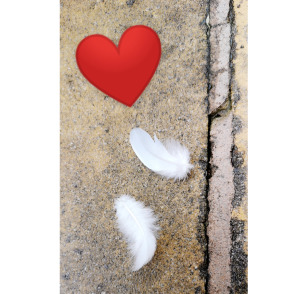 Photo of Henry SWIETEK