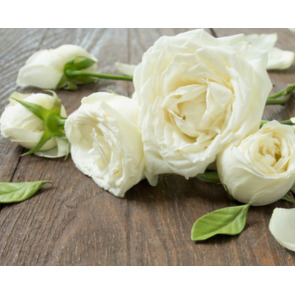 Photo of Mary SIMPSON