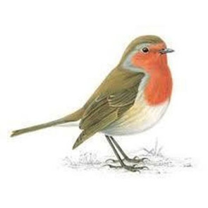 Photo of George Ewart ENGLEFIELD