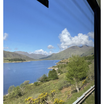 Notice Gallery for Matthew ASHMORE