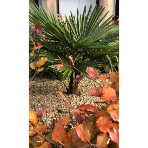 Notice Gallery for John HURREL