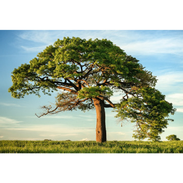 Notice Gallery for Barry CREE