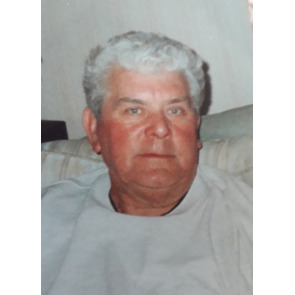 Photo of Terry FALLOWS