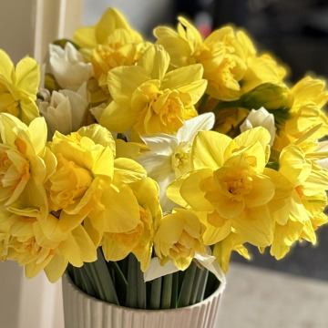 Photo for notice Elizabeth Anne BROWN