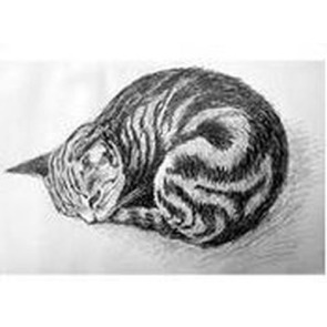 Photo of Patricia SMITH