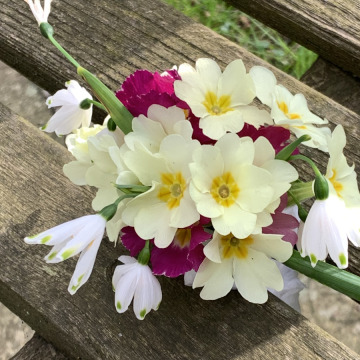 Notice Gallery for JACQUELYN   RITA MCLEOD