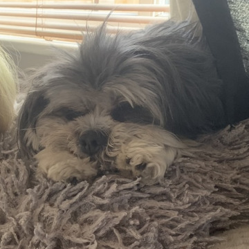 Notice Gallery for Don BLANEY