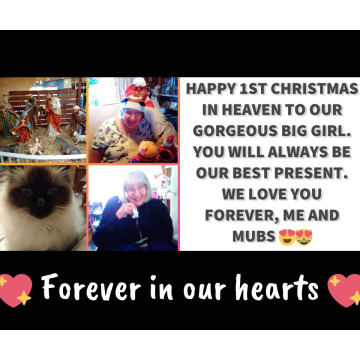 Notice Gallery for VERNA DOBSON