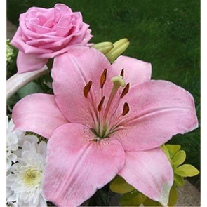 Photo of ANGELA NOBLE