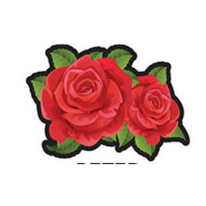 Photo of PETER MORTON