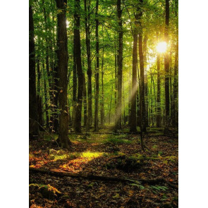 Photo of GERARD EDWARD LOHAN