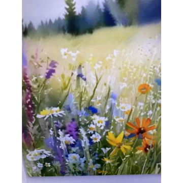 Photo for notice Toni David DEXTER