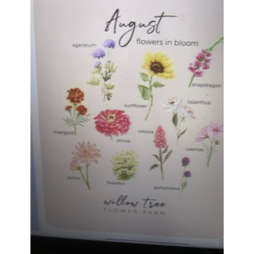 Notice Gallery for Toni David DEXTER
