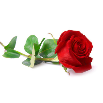 Photo of 10TH ANNIVERSARY               OF MY DEAR MUM EDITH HUGHES