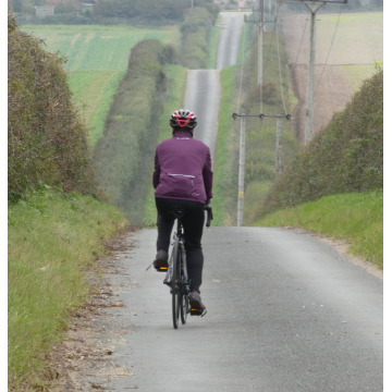 Photo of CHRISTINE FINDLOW