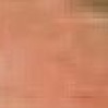Photo of Darren WILSON