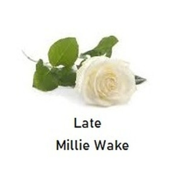 Photo of MILLIE WAKE