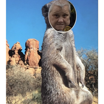 Notice Gallery for Adele Marie BRADLEY