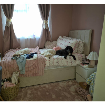 Tribute photo for Chris HOLMES