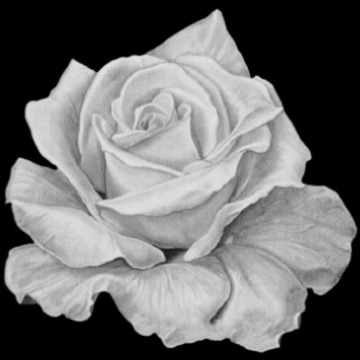 Notice Gallery for EILEEN KNOWLES