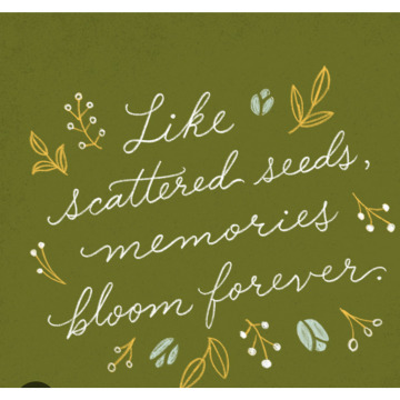 Notice Gallery for Gemma Adeline WHITE