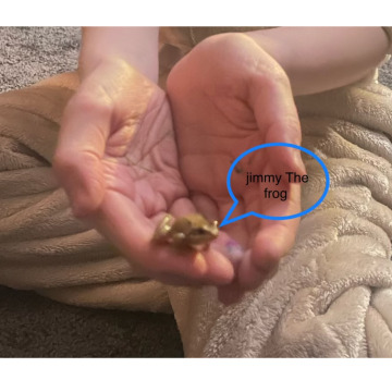 Notice Gallery for JAMES SAXON