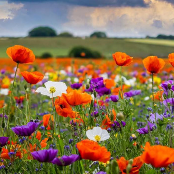 Photo for notice GARY JOHN LAWSON