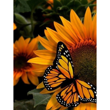 Photo for notice GARY JOHN LAWSON