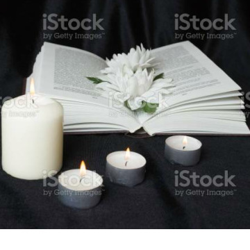 Photo of Steven John NEWTON