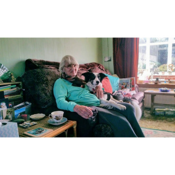Notice Gallery for June Hazel WOOTTON