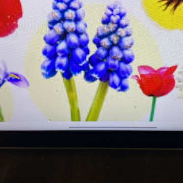 Photo for notice Ivan John DEXTER