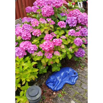 Tribute photo for Catherine Joan DOCHERTY